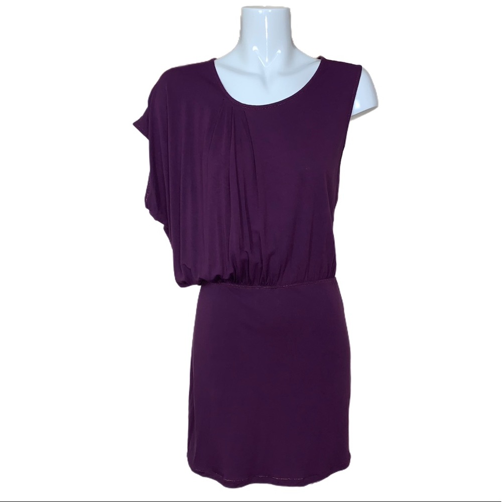 Alternative Earth Plum Bamboo Eco Friendly Dress
